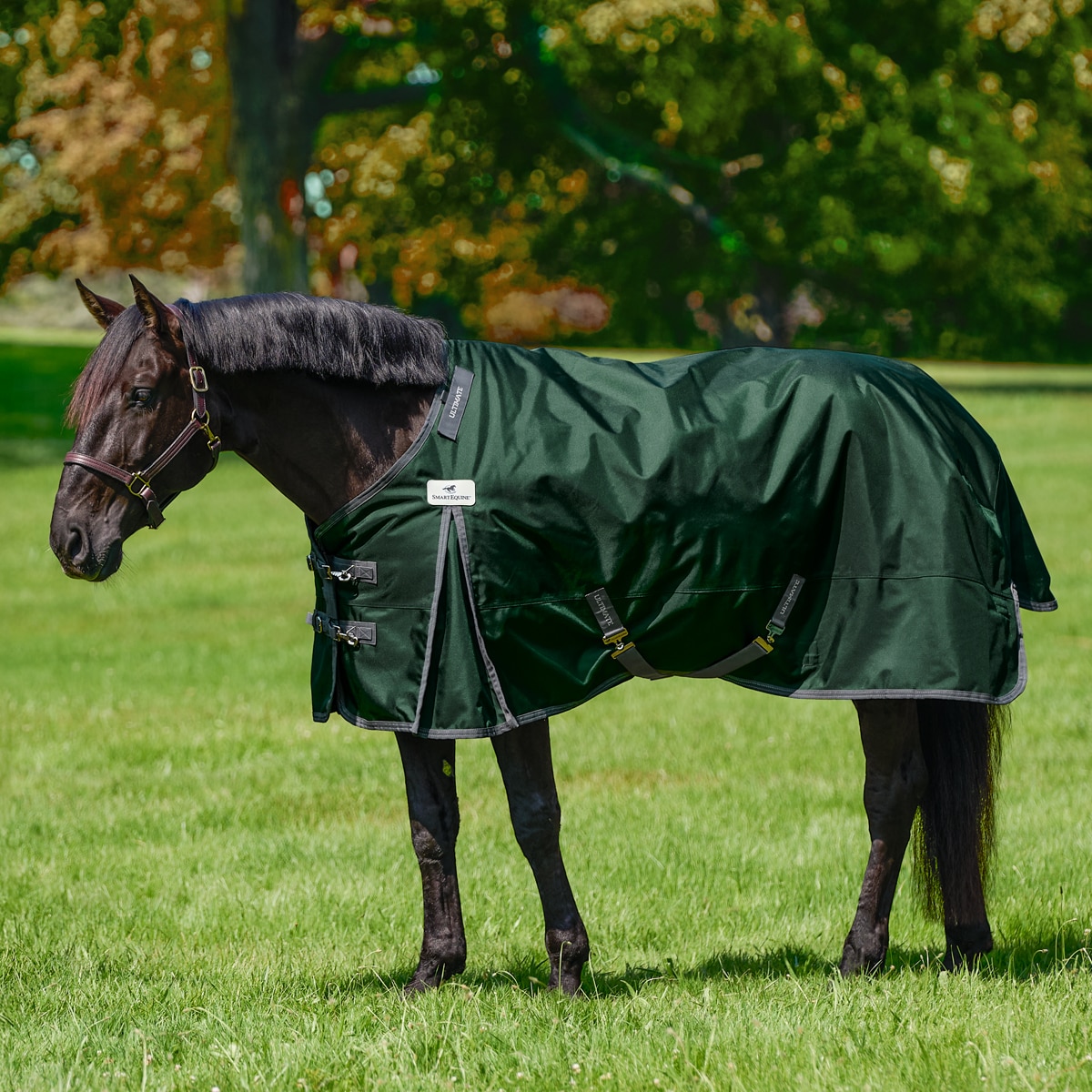 SmartPak Ultimate Couverture Aiguillage Cheval Col Haut Lourde 360g