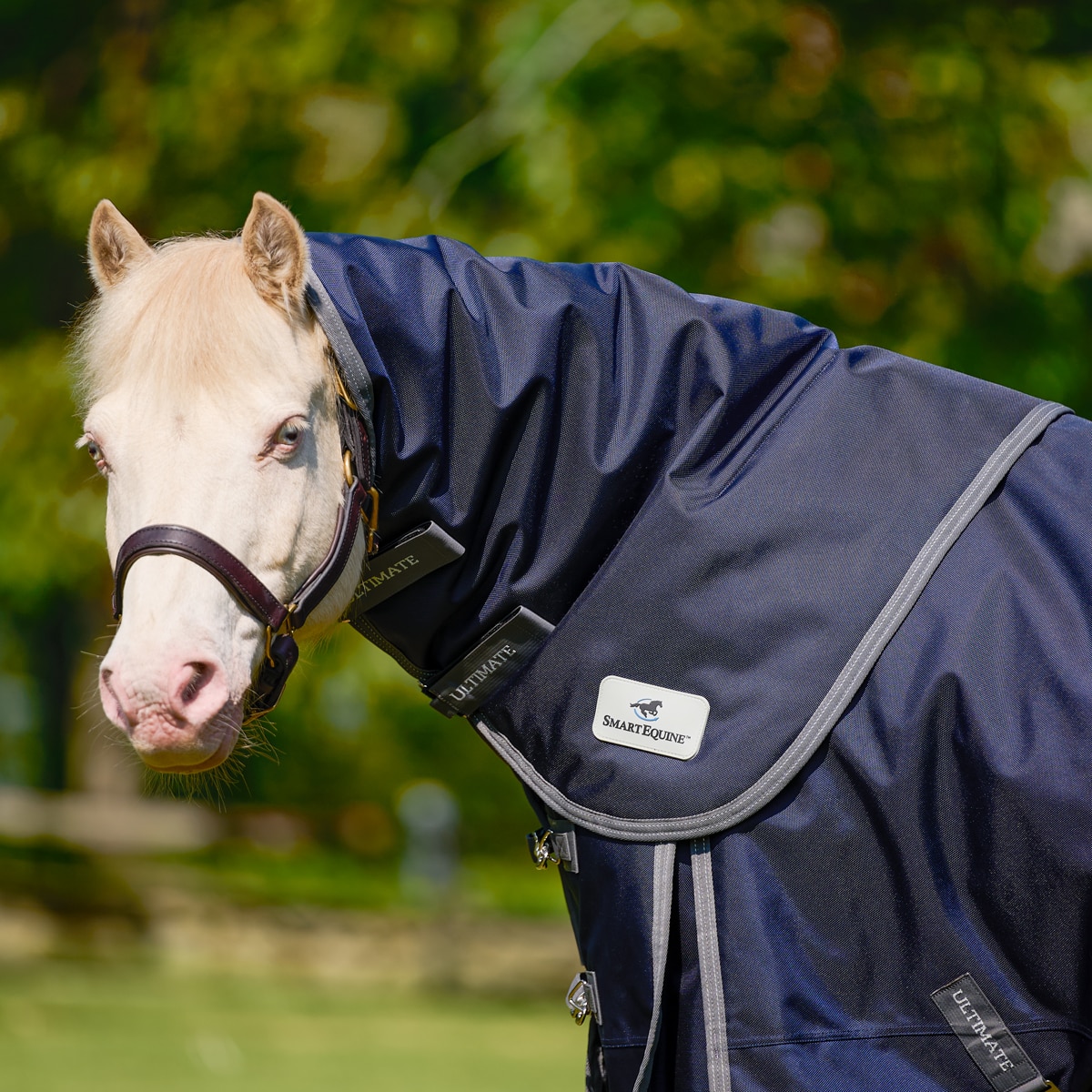 フック 様 thoroughbred navy フック 様 thoroughbred navy 36889_navy-0044.jpg
