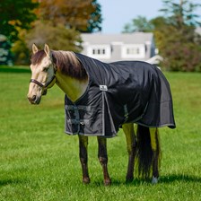 SmartEquine Ultimate High Neck Turnout Sheet