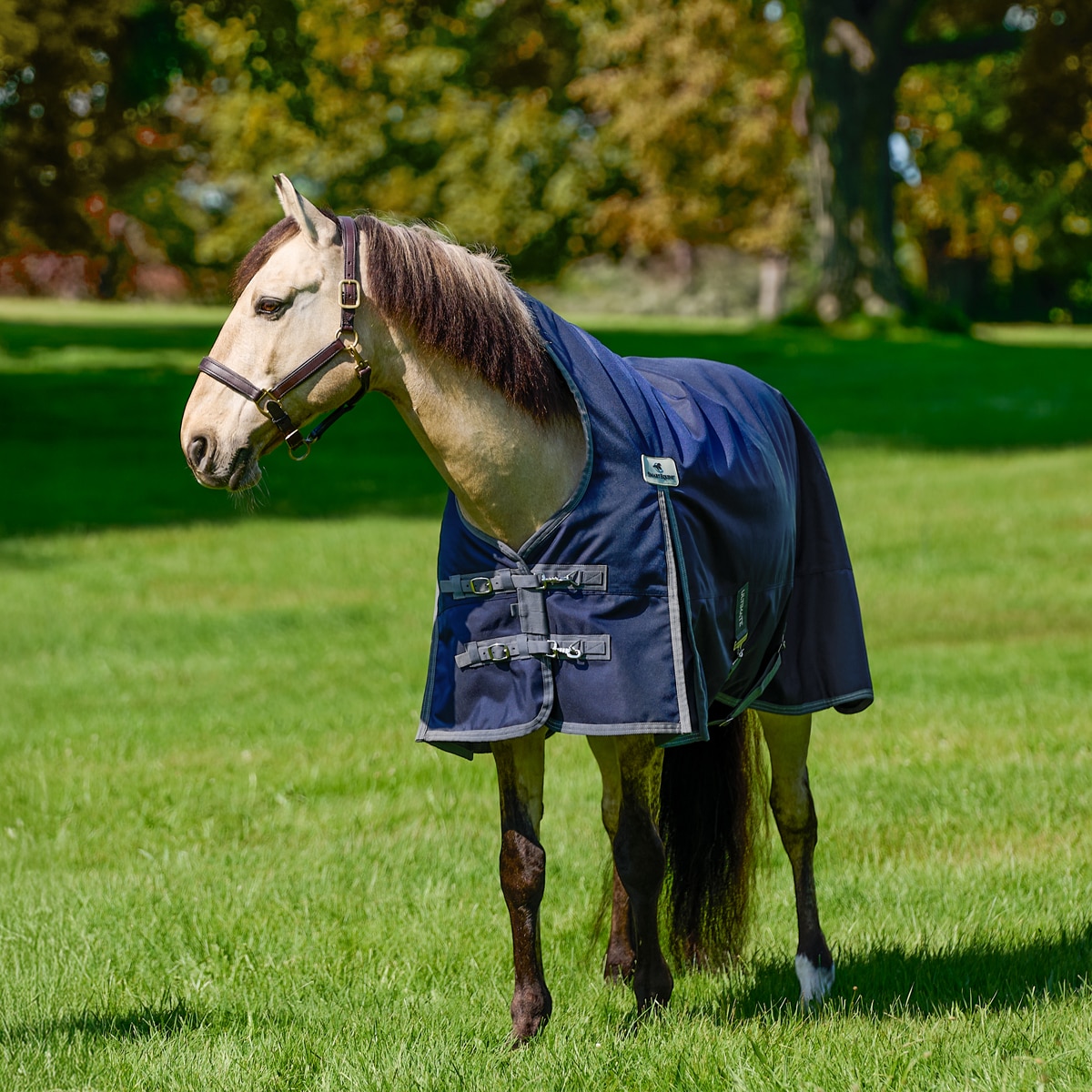 Housse De Seau Isolante SmartPak 5 Gallons - Matériel D'équitation Neuve