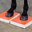 SURE FOOT Equine Balance Pad- Hard - 