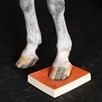 SURE FOOT Equine Balance Pad- Hard - 