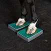 SURE FOOT Equine Balance Pad- Firm - 