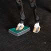 SURE FOOT Equine Balance Pad- Firm - 