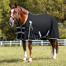 SmartEquine Deluxe Stable Sheet