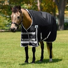 SmartEquine Deluxe High Neck Pony Turnout Blanket
