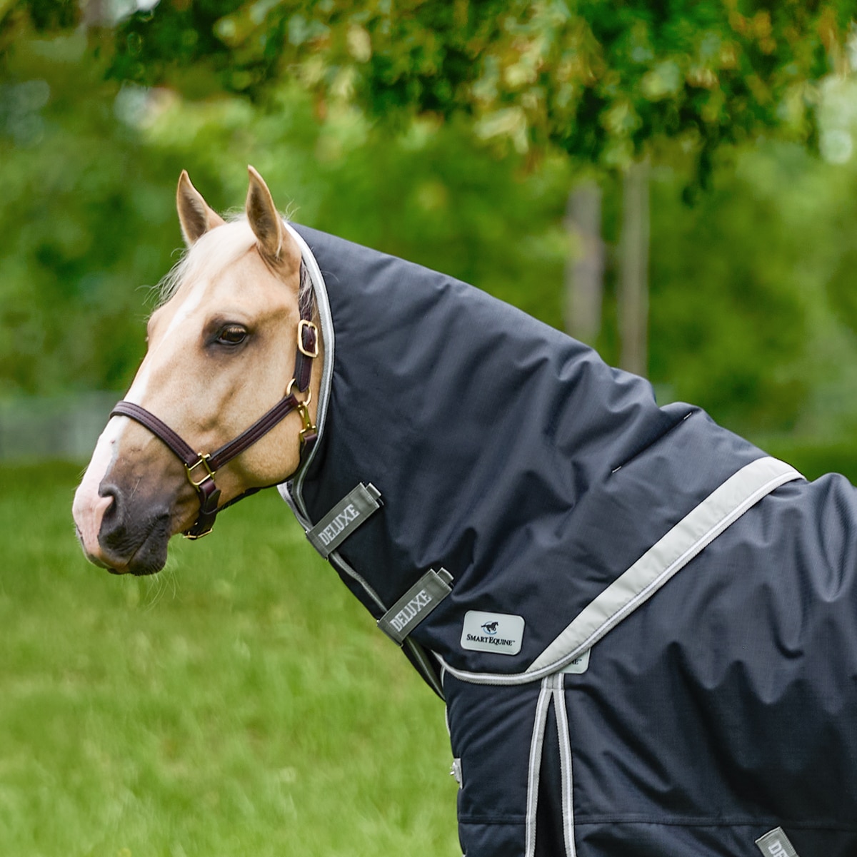 SmartPak Deluxe Stocky Fit Horse Neck Rug