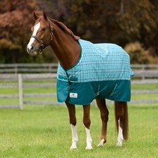 SmartPak Classic Limited Edition Horse Turnout Blanket