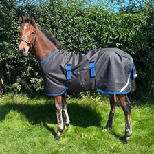 Amigo Ripstop 900D Foal Turnout Blanket
