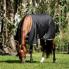 Amigo&reg; Ripstop 900D Quarter Horse Turnout Blanket