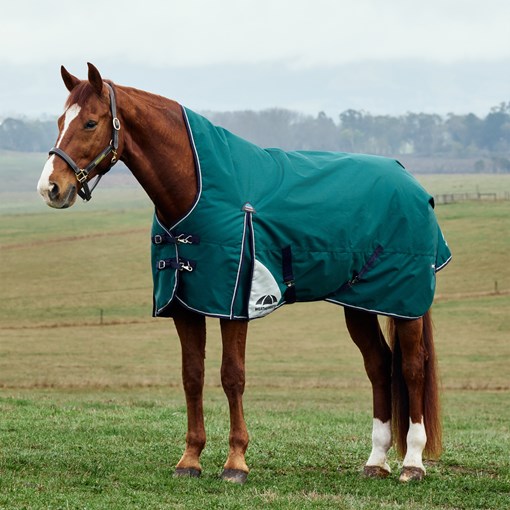 WeatherBeeta ComFiTec Plus Dynamic High Neck Turno