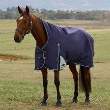 WeatherBeeta ComFiTec Plus Dynamic High Neck Turnout Blanket
