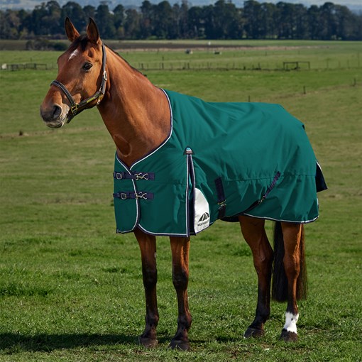 WeatherBeeta ComFiTec Plus Dynamic Standard Neck T