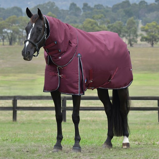 Weatherbeeta ComFiTec Essential Detach-A-Neck Turn