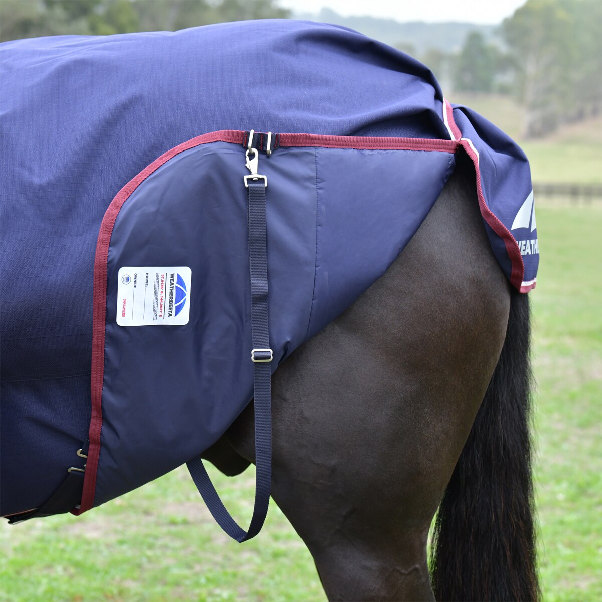 Weatherbeeta Comfitec Essential Detach-A-Neck Turnout - 220g | Old Mill Saddlery