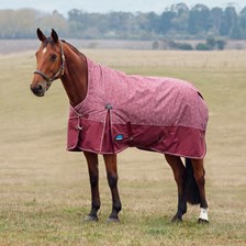 WeatherBeeta ComFiTec Essential High Neck Turnout Blanket made Exclusively for SmartPak