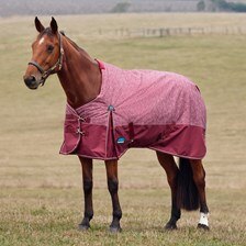 WeatherBeeta ComFiTec Essential Standard Neck Turnout Blanket made Exclusively for SmartPak
