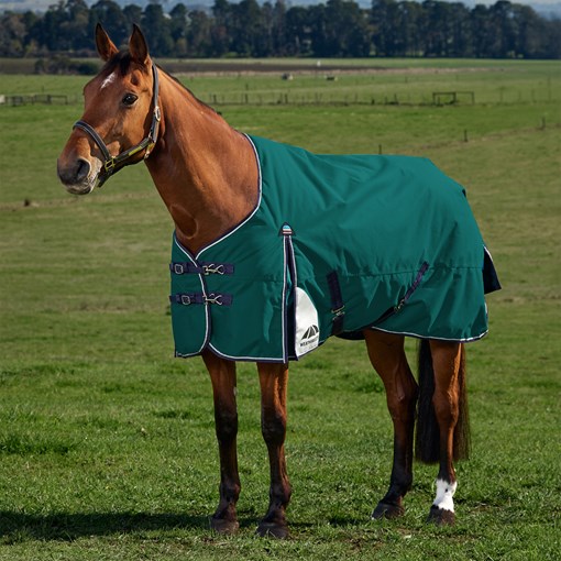 WeatherBeeta ComFiTec Plus Dynamic Standard Neck T