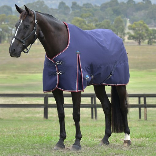 Weatherbeeta ComFiTec Essential Standard Neck Turn