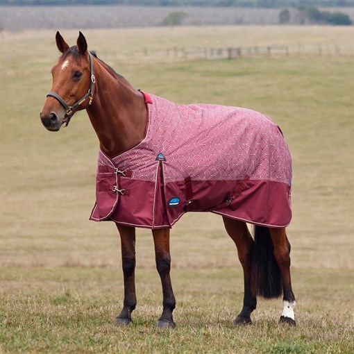 WeatherBeeta ComFiTec Essential Standard Neck Turn