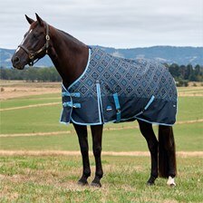 WeatherBeeta&reg; Comfitec Heritage Turnout Blanket