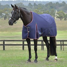 WeatherBeeta&reg; Comfitec Essential Pony Turnout Sheet