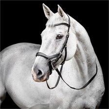Horseware Micklem&reg; Competition Bridle