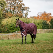 Amigo&reg; 1200D Plus Turnout Sheet