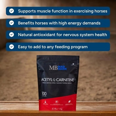 acetyl l-carnitine for horses Mad Barn Acetyl-L-Carnitine Powder Flavor:Cafe Latte Glutathione Therapy for Immune Cyber Monday Offer