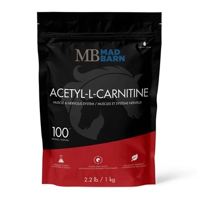 l carnitine power system Mad Barn Acetyl-L-Carnitine Powder Choose your pack:Pack of 1 (15 Tablets) Dealing with a stubborn horse supplements