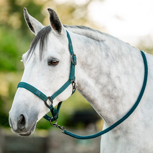 Horseware Halter & Lead Rope