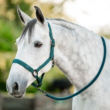 Horseware Halter & Lead Rope