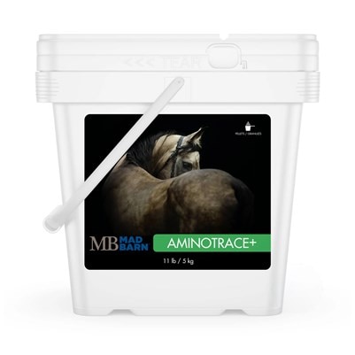 dr kellon acetyl l carnitine horses Mad Barn AminoTrace+ Uses Agefine Skin Whitening Facewash