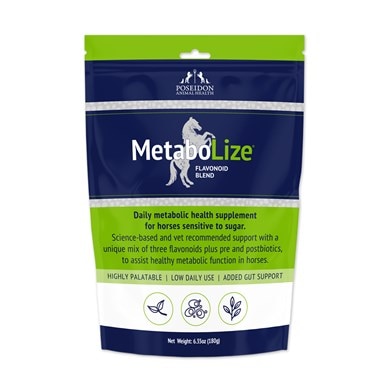 glutathione for horses GPX1 elisa kit; Horse Peroxidase 1 ELISA Kit-NP_000572.2 Absorbed well and easily digested by horses Detox & Drain | Horse
