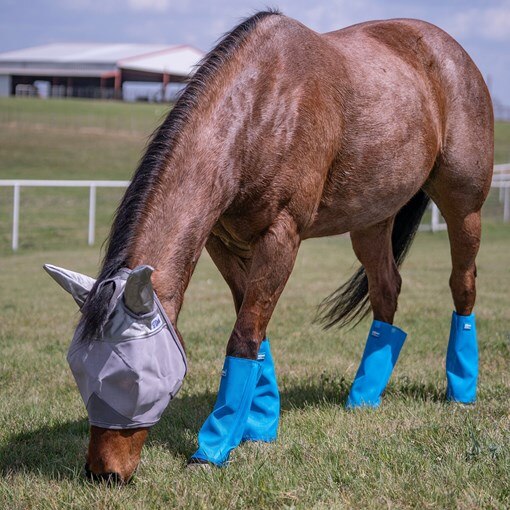 Cashel Crusader Turnout Leg Guards 
