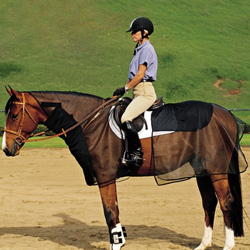 Cashel Quiet Ride Armor Bundle 