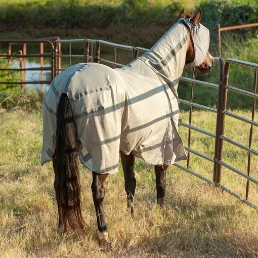 Cashel Econo Fly Sheet w/ Neck Rug