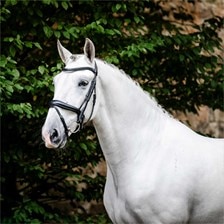 Horseware Dressage Flash Bridle