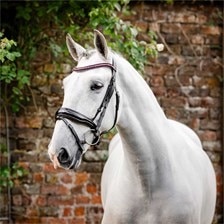 Horseware Diamante Flash Bridle
