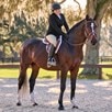 Harwich&reg; Wide Noseband Bridle by SmartPak - 