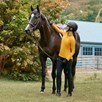 Harwich&reg; Wide Noseband Bridle by SmartPak - 
