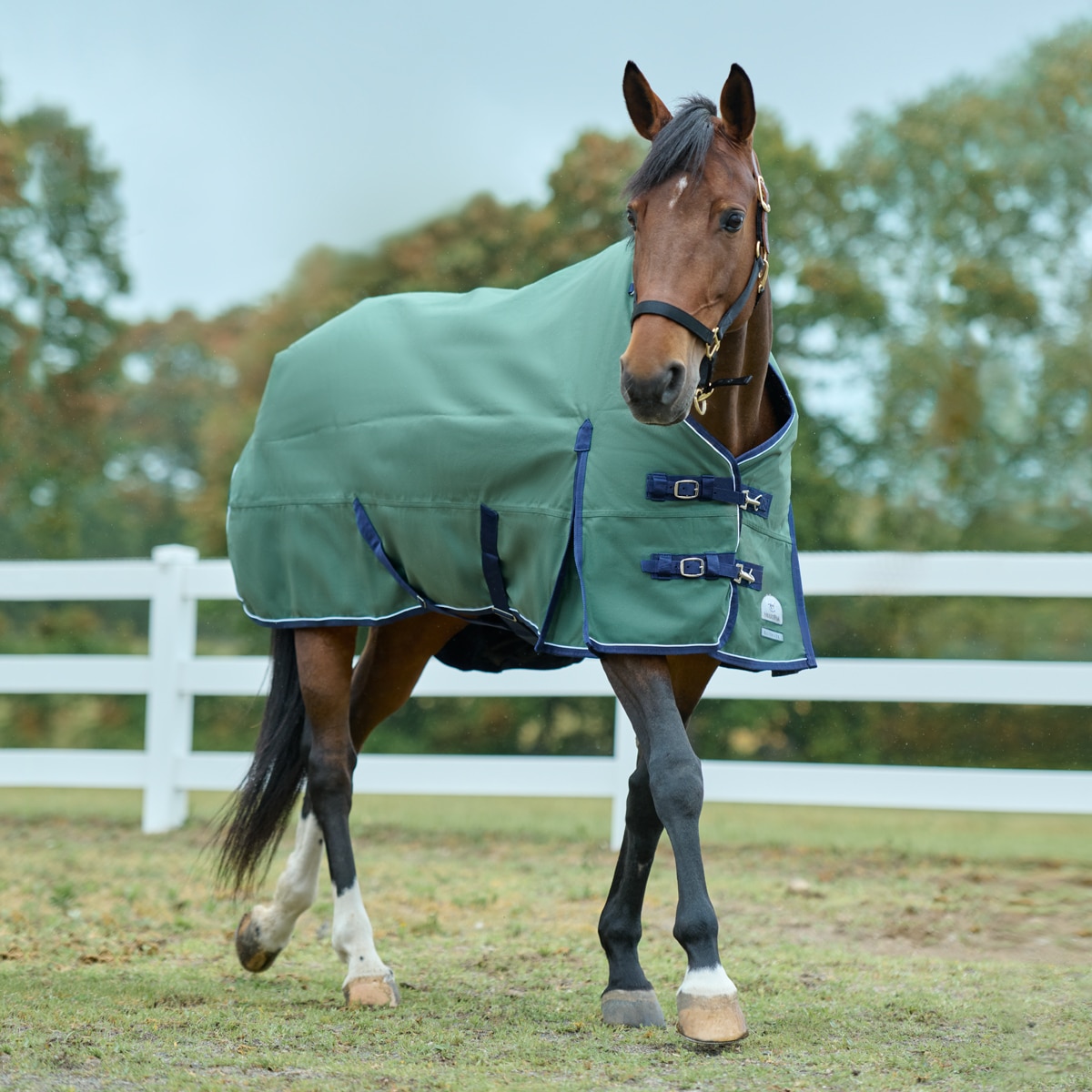 Schneiders® Miniature Horse Blanket Elastic Leg Straps