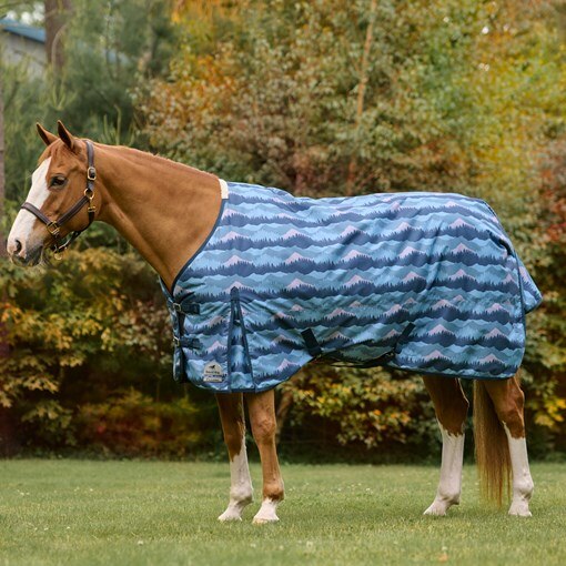SmartPak Classic Turnout Blanket - Limited Edition