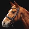 Nantucket Ergonomic Bridle by SmartPak - 