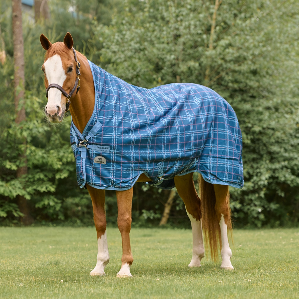 SWW Horse Blanket Repair  Updates, Reviews, Prices