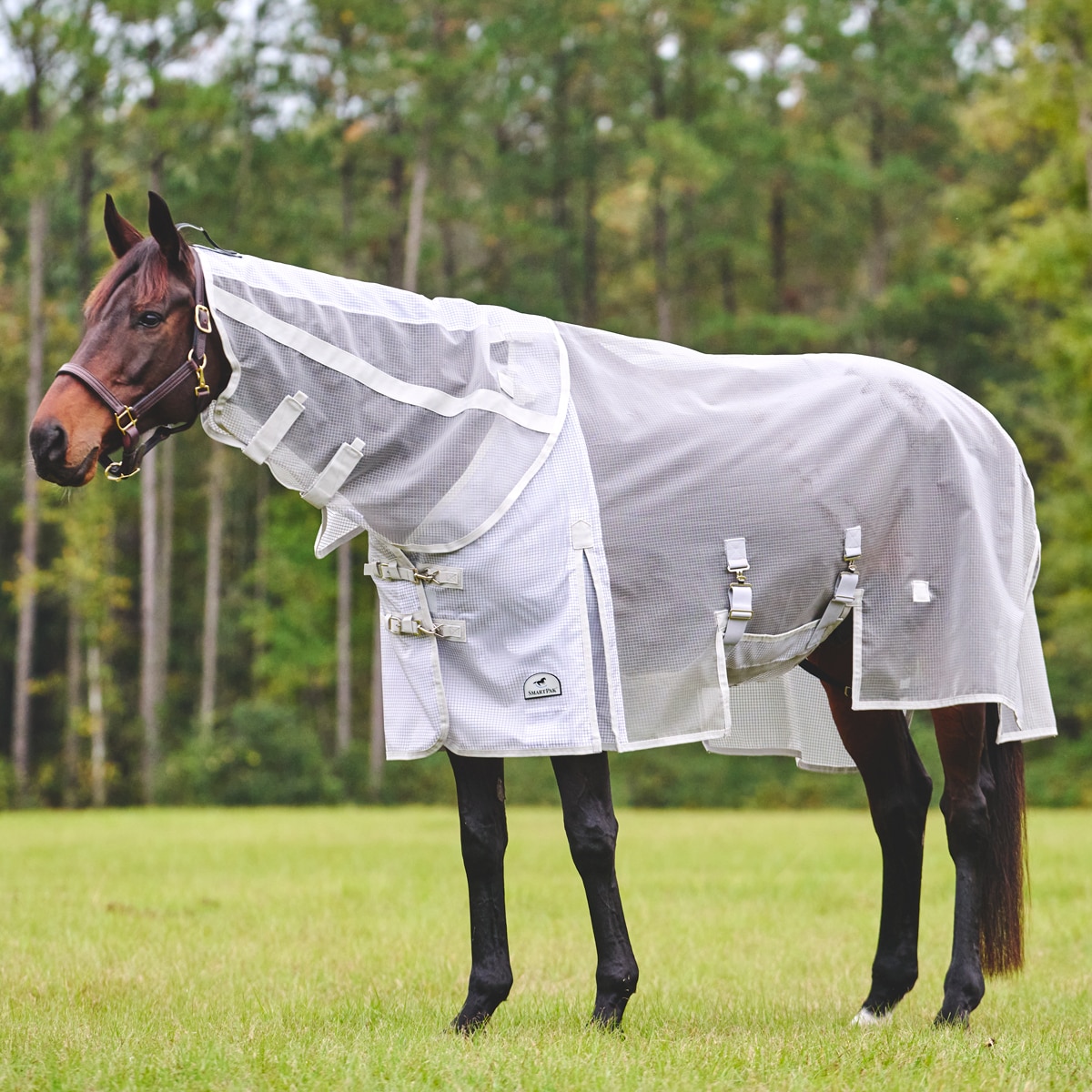 Horse Belly Guard Horse Ride Fly Sheet Mesh Belly Protector for Riding  Stable Setting Equine Guard Sheet