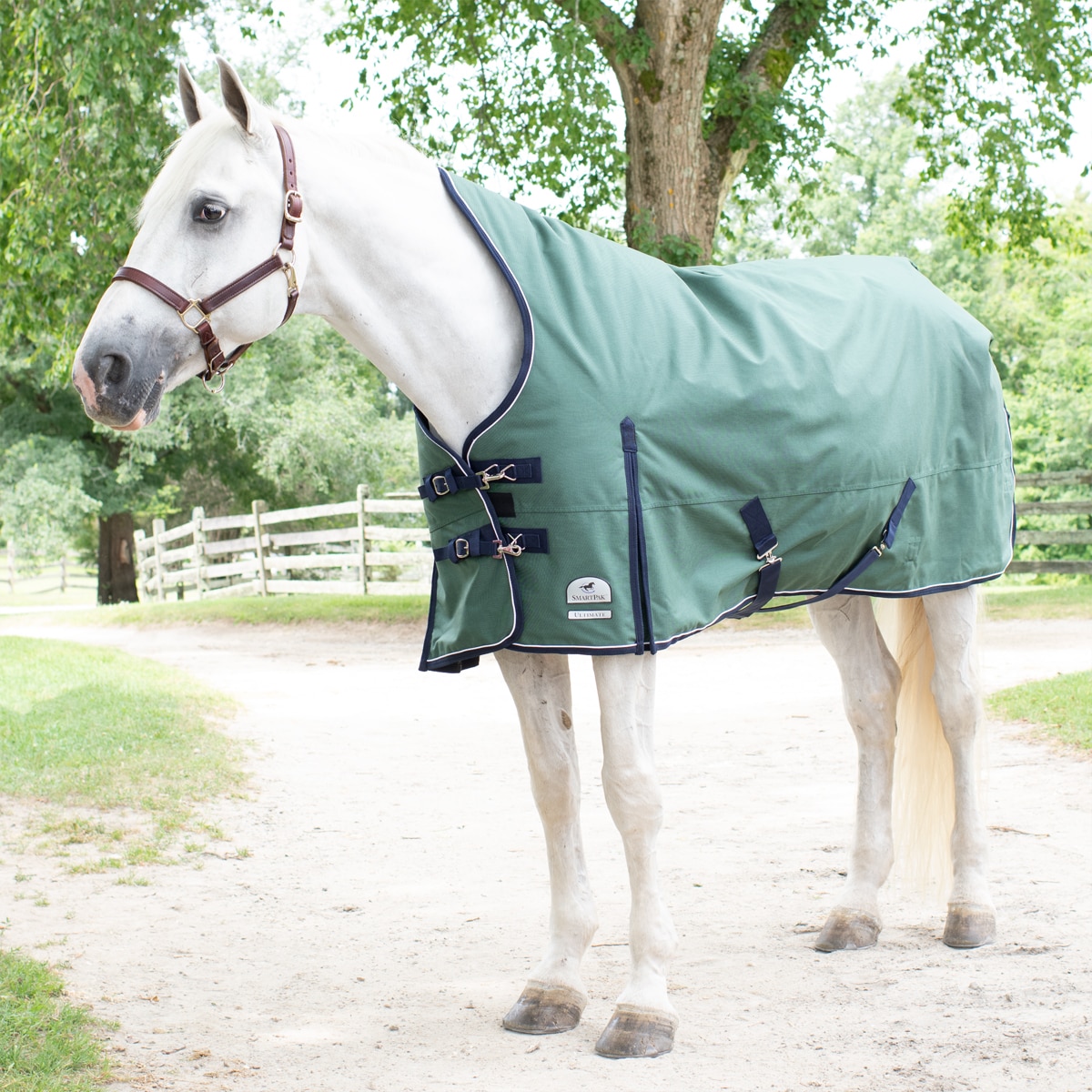 200g COMBO NECK TURNOUT RUGShires Tempest Medium Weight WINTER HORSE RUG 