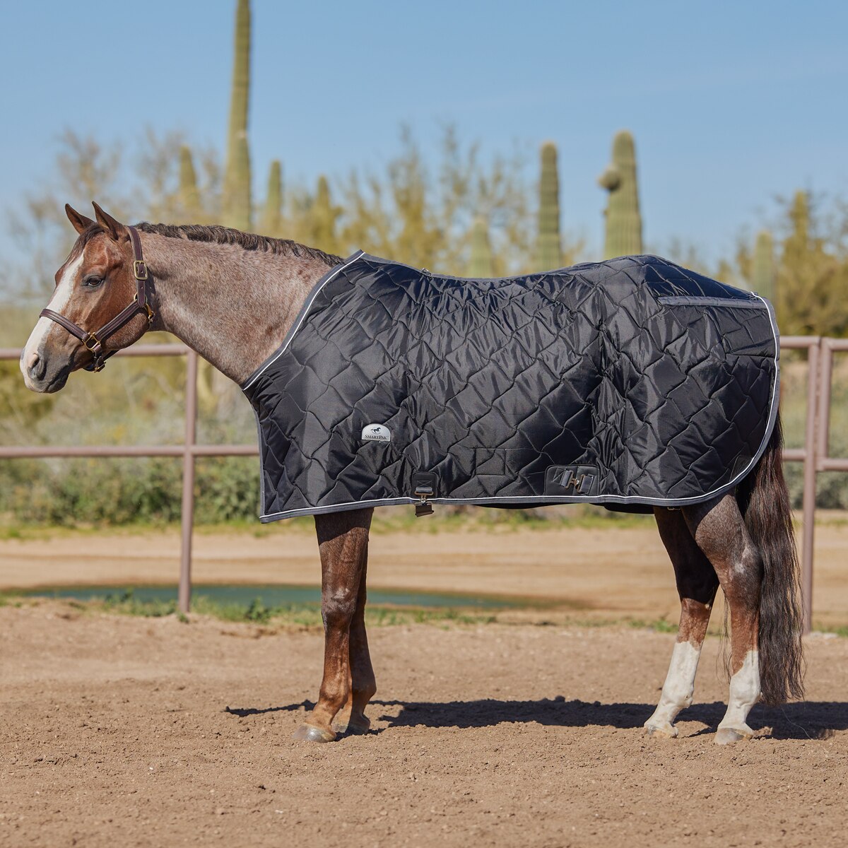 Stable blanket California closed front