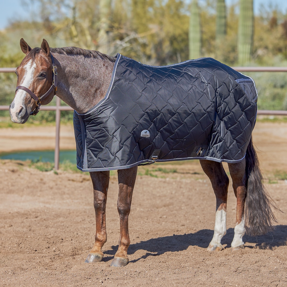 Pessoa Quilted Stable Blanket