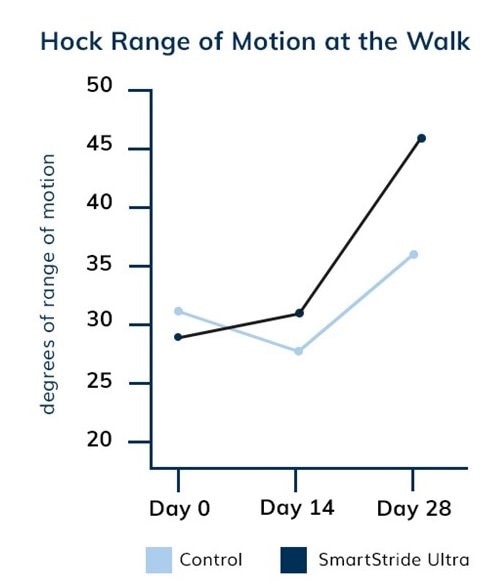 A chart depicting the increased hock range of motion at the hock after using SmartStride